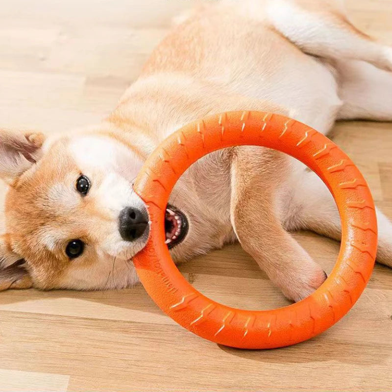 Dog flying disc / Pull Ring