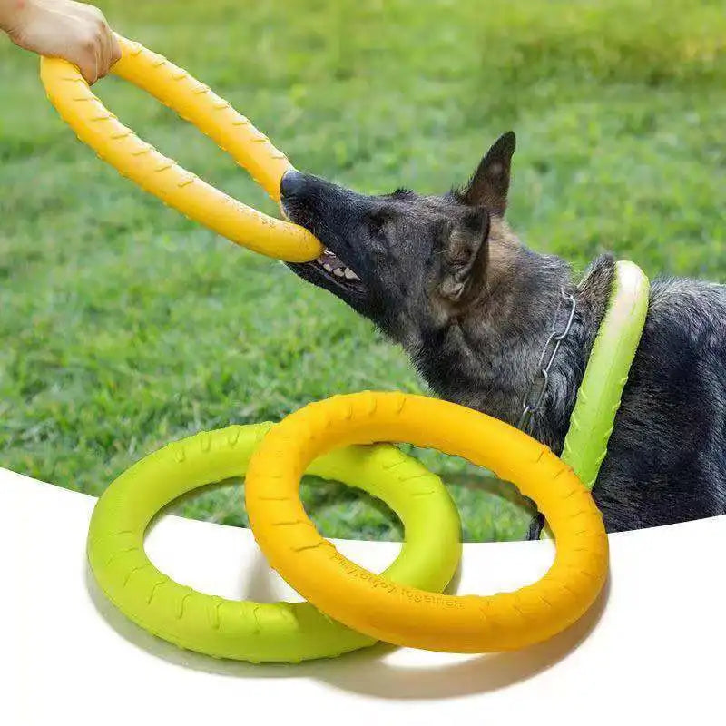 Dog flying disc / Pull Ring