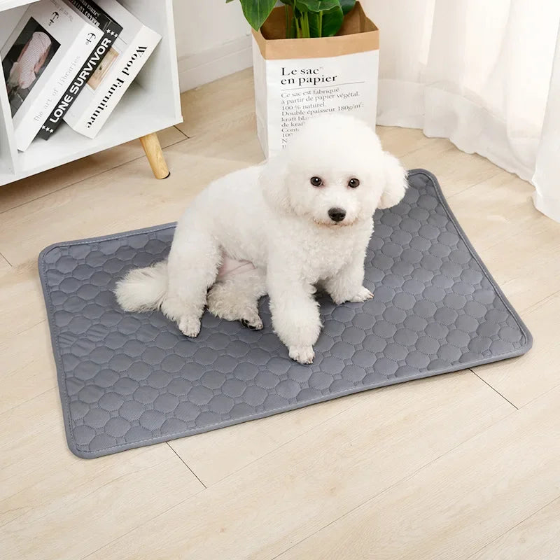 Dog Pee Pee Pad Reusable Absorbent Diaper Washable Puppy Training