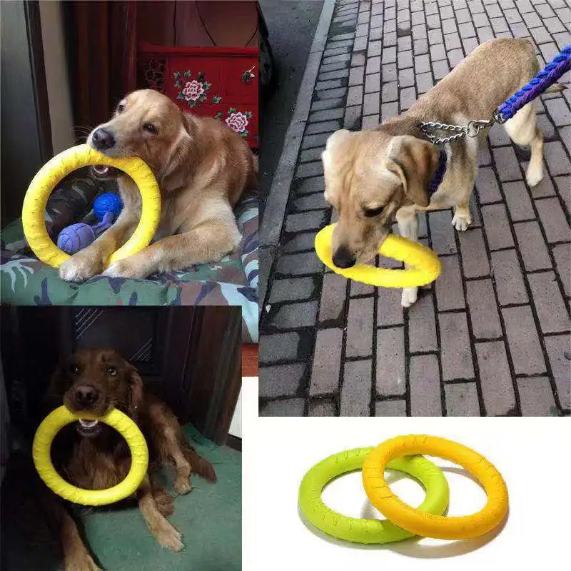 Dog flying disc / Pull Ring