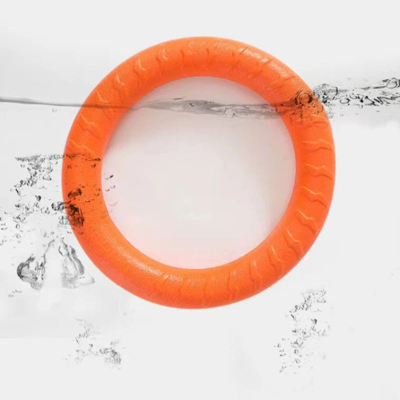 Dog flying disc / Pull Ring