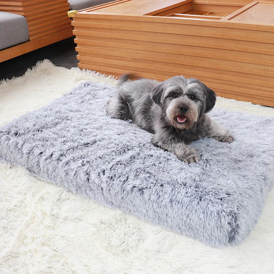 Plush Memory foam Calming Dog / Cat Bed with Removable Washable Cover