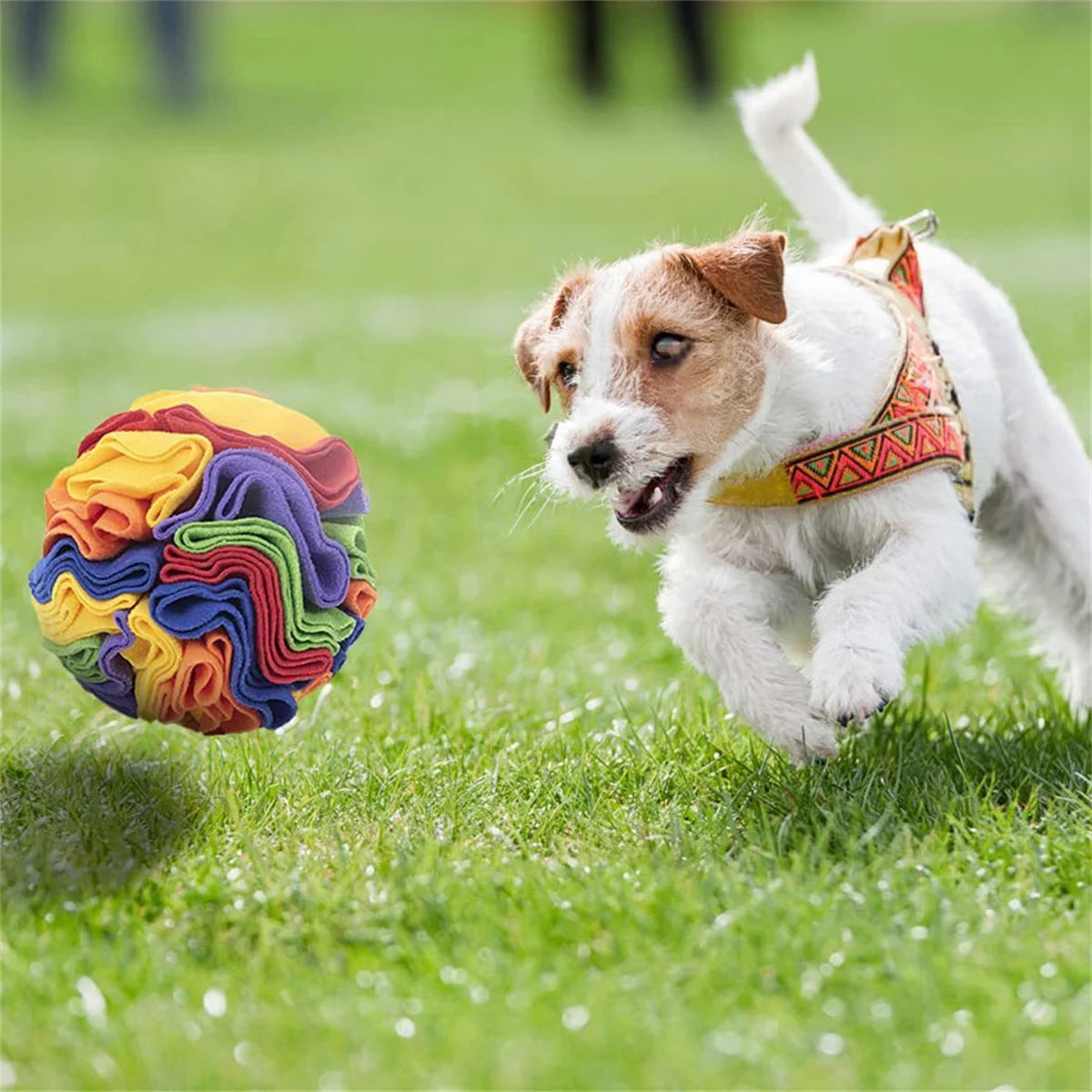 Dog Sniffing Ball Puzzle Toys